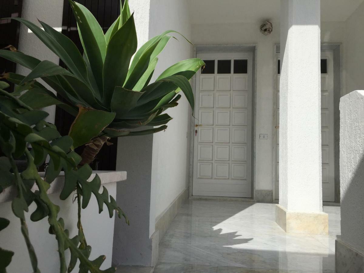 Апартаменти Casa Sul Mare - Wifi Free - Parcheggio Privato Сан-Фока Екстер'єр фото